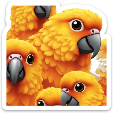 A sun conure  sticker