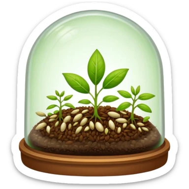 a pile of seeds at the right side and a germinating seed under a glass dome near . Transparent background sticker