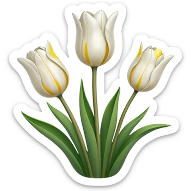 White tulips sticker
