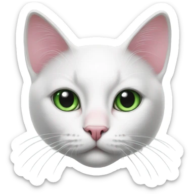 black and white cat with huge green eyes and a pink nose sticker