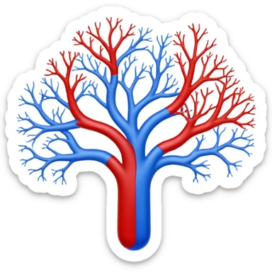 Blood Circulation sticker