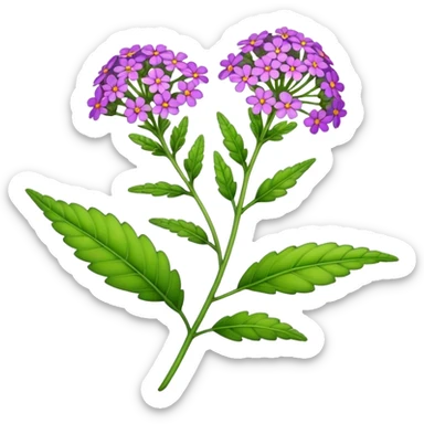 single Verbena flower, leaf,bud sticker
