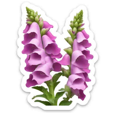 foxglove flower sticker