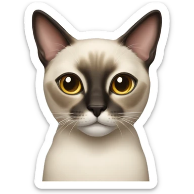 cat siamese sticker