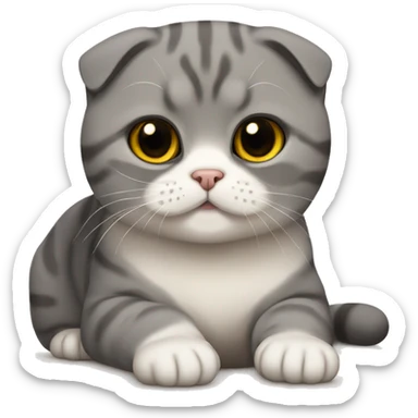 Scottish fold cat sticker