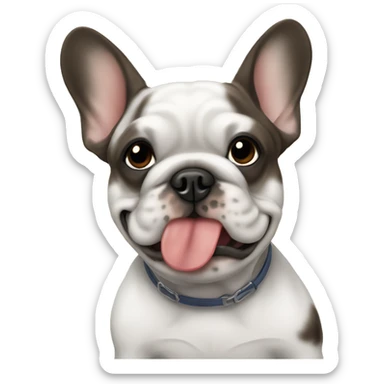 All Brindle frenchie eating sticker