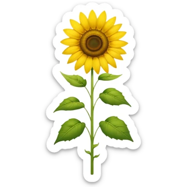 Maximillian sun flower  sticker
