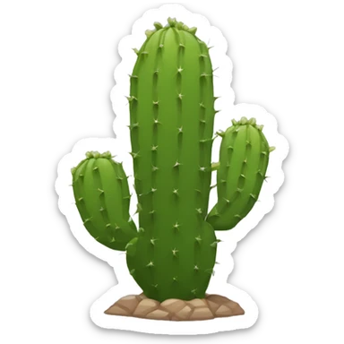 single flat Nopal without pot sticker