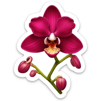 Red orchid sticker