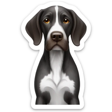black and white german wire haired pointer sticker