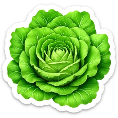 Cinematic crisp green lettuce, fresh and leafy, slightly curled edges, detailed textures, vibrant and refreshing, ultra-realistic and inviting. sticker