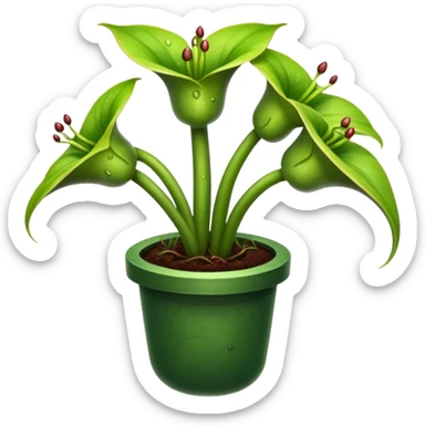  planta carnivora sticker