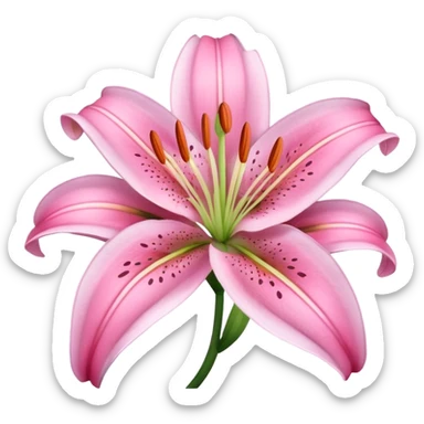 pink lily sticker