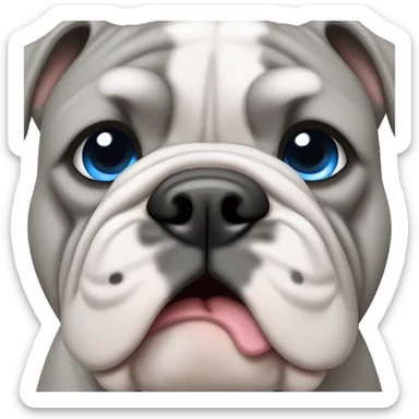 grey english bulldog with blue eyes sticker
