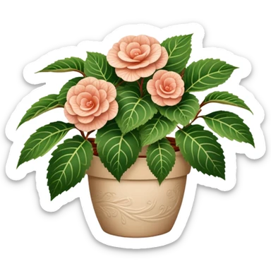 Begonia Rex in a beige pot with spiral pattern leaves sticker
