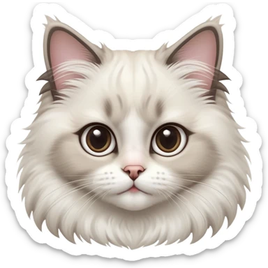 cinematic-adorable-big-eyed-fluffy-ragdoll-cat-portrait-emoji,-head-tilted-playfully-with-a-sweet-expression,-fluffy-white and grey-fur,-simplified-yet-irresistibly-cute-features-with-large,-expression,  sticker