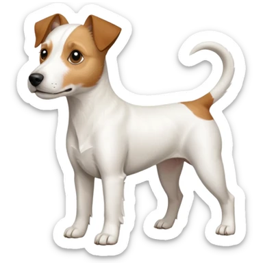 a full body white parson russell looking dog the size of a kelpie with light brown ears and a light brown patch on one eye and a large snout sticker