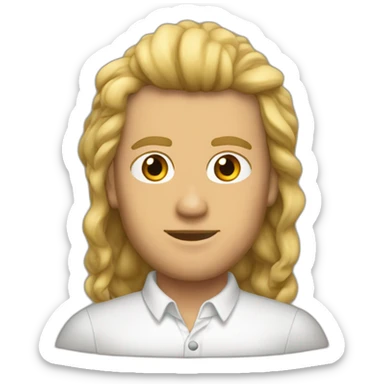 roanoke virginia sticker