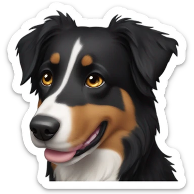 border collie crossbred beauceron completely black with short hair sticker