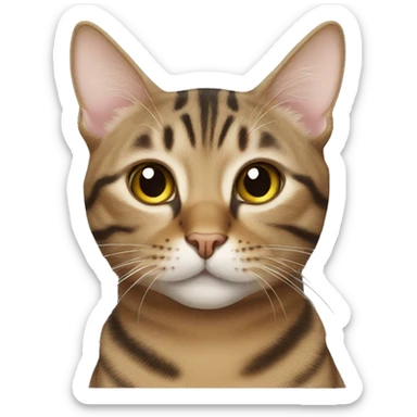 Tabby cat sticker