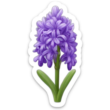 hyacinth flower sticker