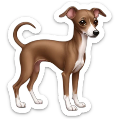 full body all brown italian greyhound chihuahua sticker