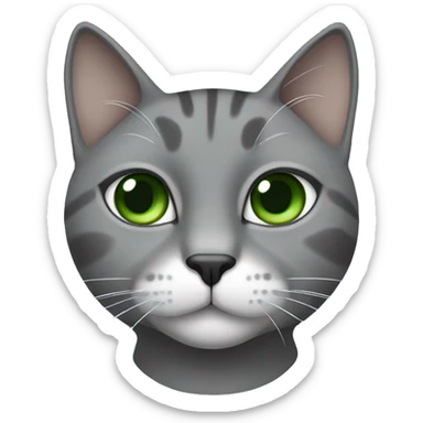 Gray cat with white neck, chin, and nose stripe, green eyes and black nose sticker