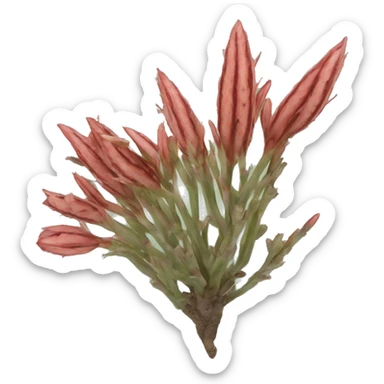 Spilarctia subcarnea sticker