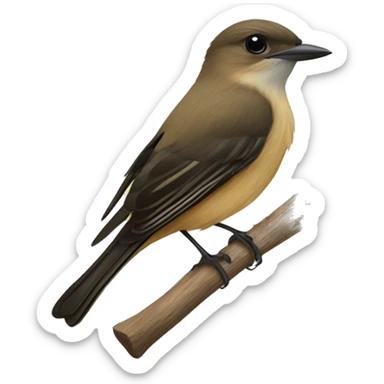 Puerto Rican Flycatcher  sticker