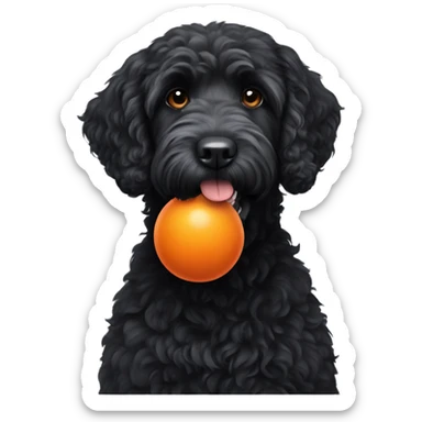 black labradoodle with orange ball in mouth sticker