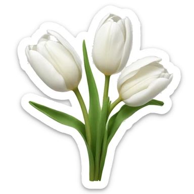 White tulips sticker