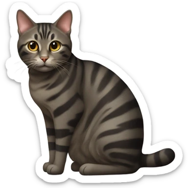 Dark tabby cat  sticker
