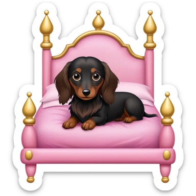 Dachshund long haired in a pink princess bed black fur white underneath and brown feet sticker