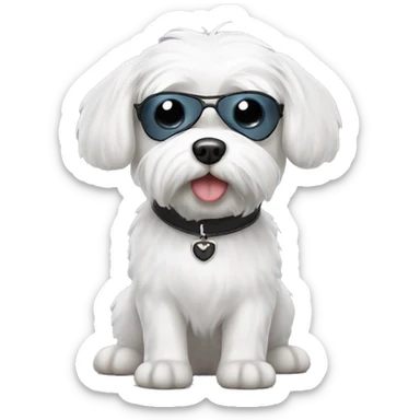 White Maltese dog with eye patch  sticker