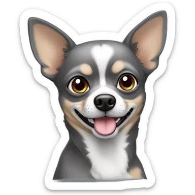 Chien de type chihuaha de 9 ans couleur gris très voncée visage sticker