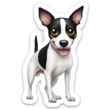 black and white rat terrier playing with tennis ball sticker