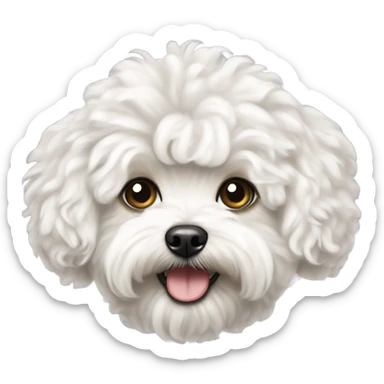 White curly maltipoo bigger hair sticker