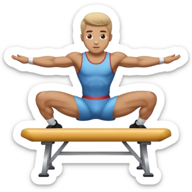 cheval d'arçon sticker