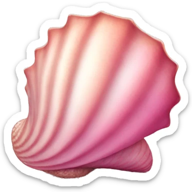 pink seashell  sticker