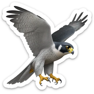 peregrine falcon with ht sticker