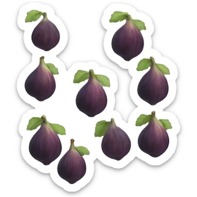 fig the fruit sticker