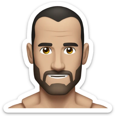 CM Punk  sticker