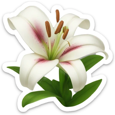 lily flower sticker