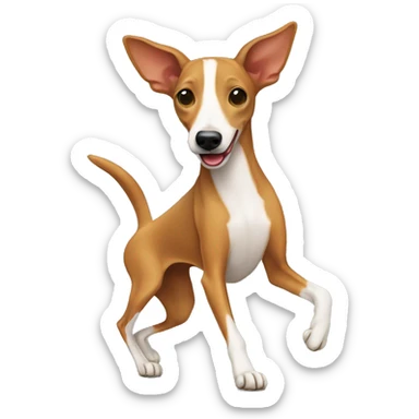 Podenco dog dancing  sticker