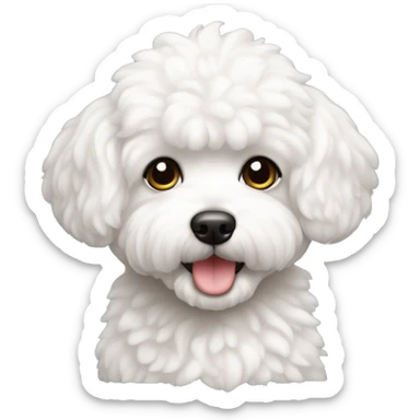 perro bichon maltés blanco hembra sticker