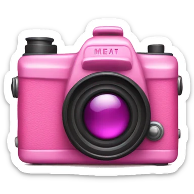 Pink camera  sticker