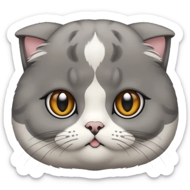 Scottish fold cat emoji  sticker