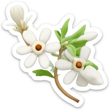 Ashwagandha plant and flower sticker