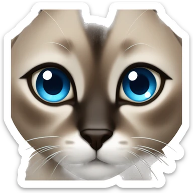 dark brown hair colored siamese cat with blue eyeball and black pupil sticker