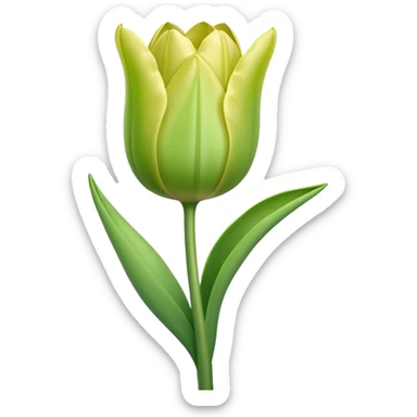 single ligtht green Tulip, straight stem sticker